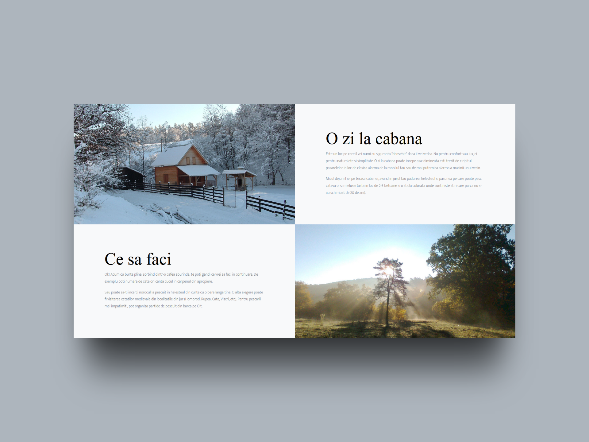 cabana-homorod.ro 2
